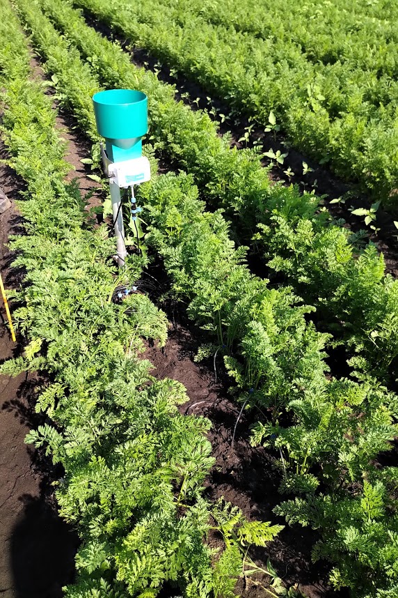 Aquacheck Probe With Nutrisens Probe And Rhizon On Organic Carrots