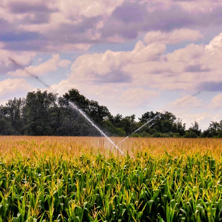 Columbus®, Irrigation et Nutrition CoRHIZE