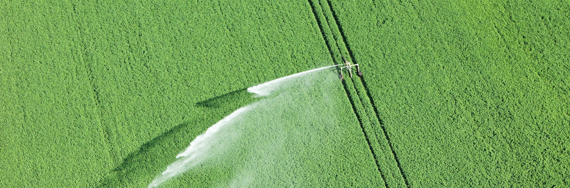 Columbus®, Irrigation et Nutrition CoRHIZE