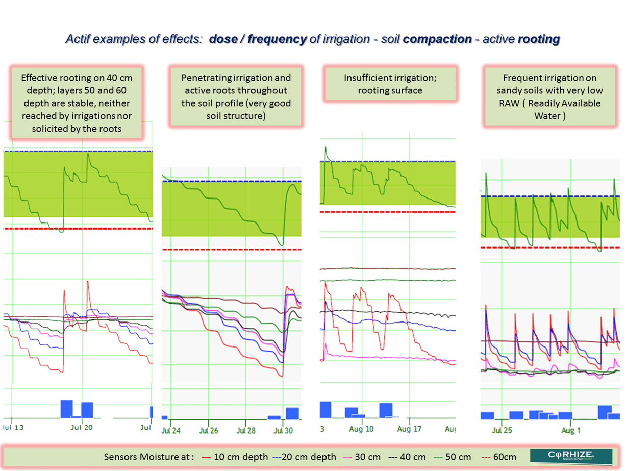 Corhize Aquacheck 3 Key Situations Doses Examples Anglais