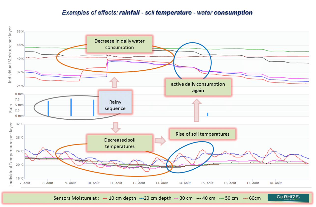 Corhize Aquacheck 3 Key Situations Temperature Effects Anglais