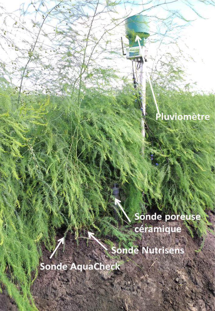 installation sonde nutrisens avec sonde poreuse céramique 2